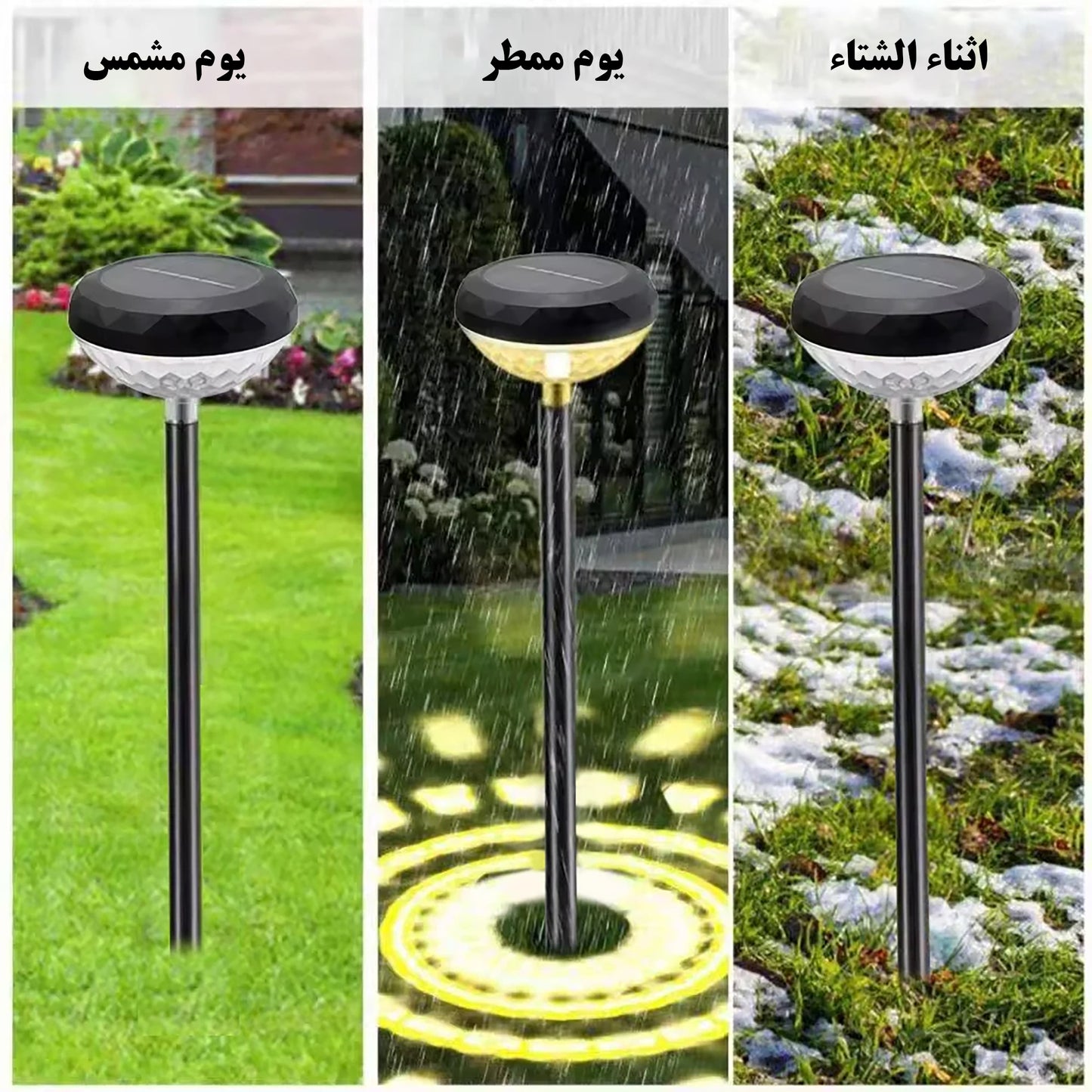 إضاءة دائرية بالطاقة الشمسية للحديقة وللشركات